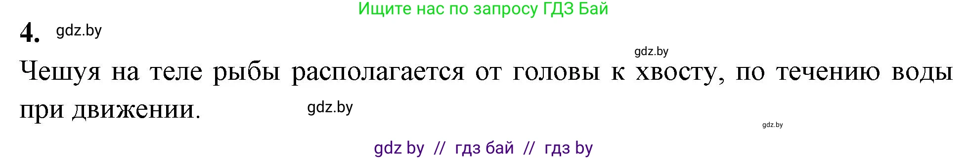 Биология, 8 класс рабочая тетрадь, автор: Лисов Николай Дмитриевич, издательство Аверсэв, Минск, 2018, зелёного цвета, страница 62, номер 4, Решение