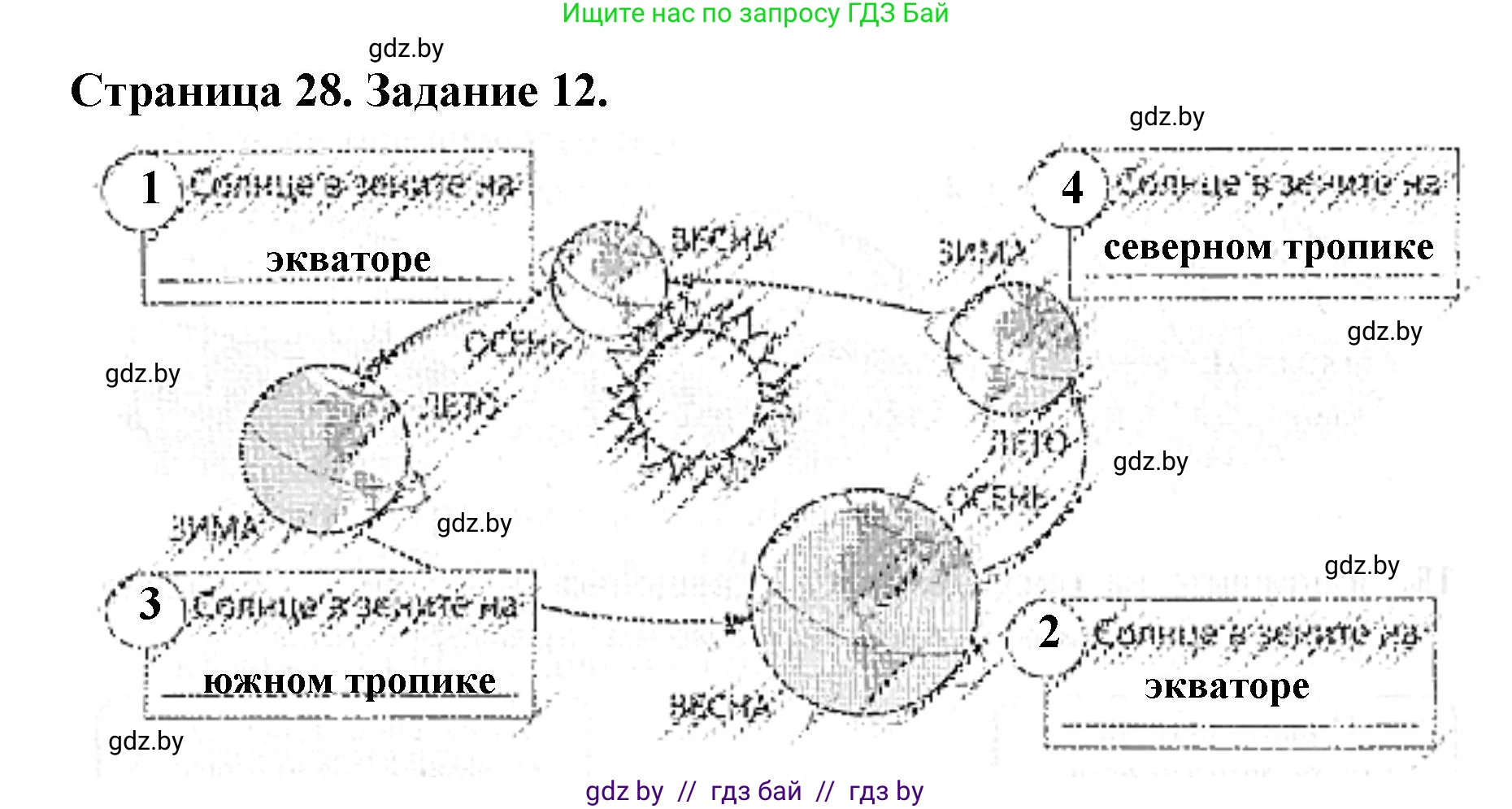 Человек и мир, 5 класс Практикум, авторы: Кольмакова Елена Генадьевна, Сарычева Ольга Владимировна, издательство Аверсэв, Минск, 2022, голубого цвета, страница 28, номер 12, Решение