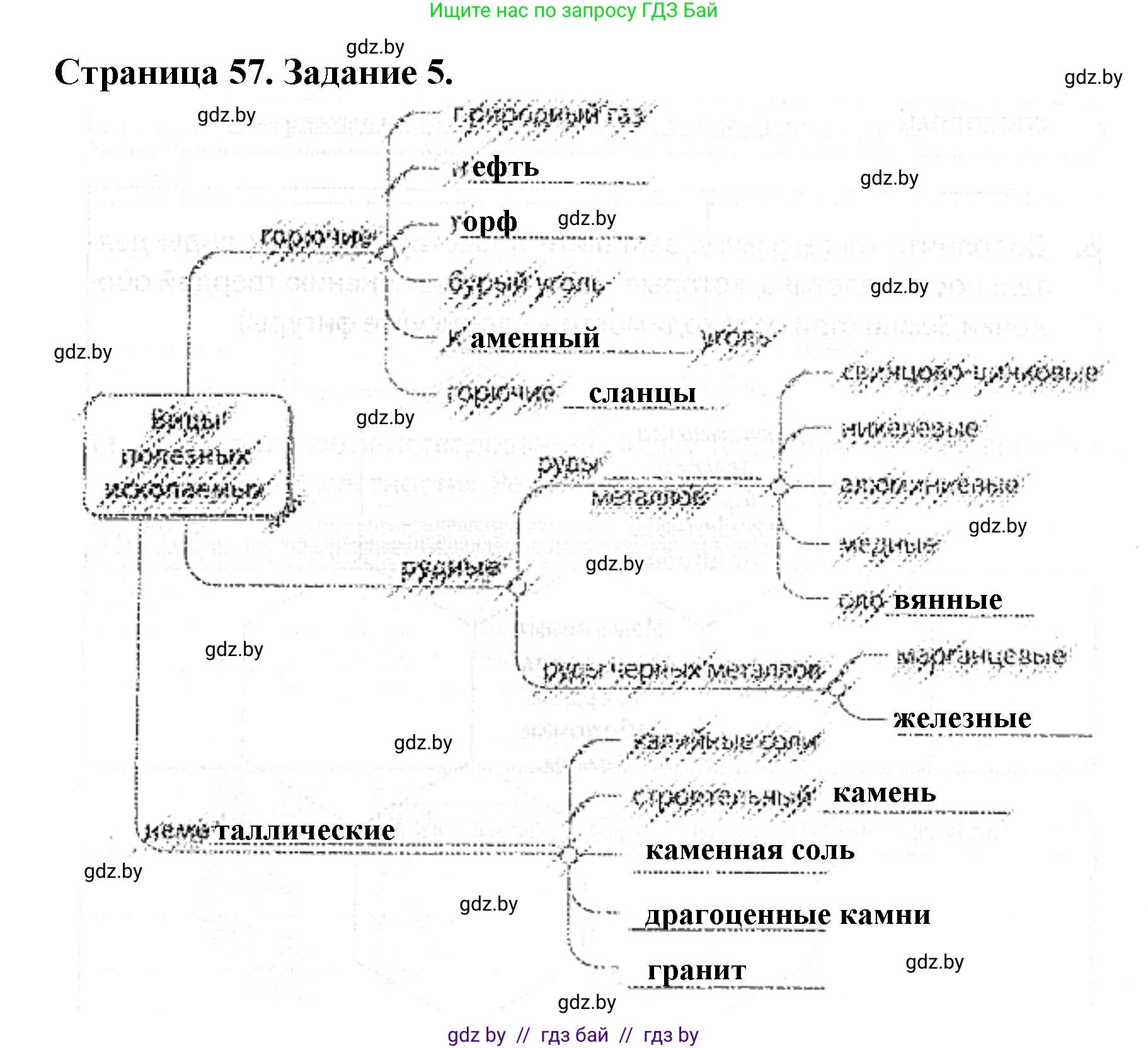 Человек и мир, 5 класс Практикум, авторы: Кольмакова Елена Генадьевна, Сарычева Ольга Владимировна, издательство Аверсэв, Минск, 2022, голубого цвета, страница 57, номер 5, Решение